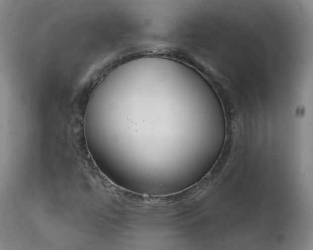 X0000111221447200907091300
