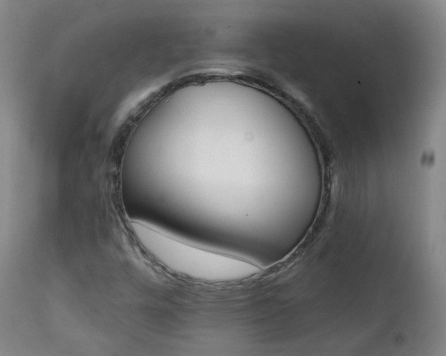 X0000111221448200907091300
