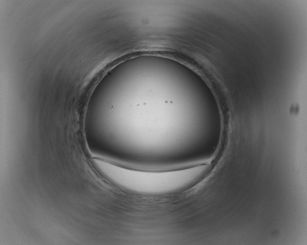 X0000111221449200907091300