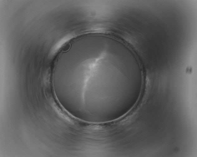 X0000111221450200907091300