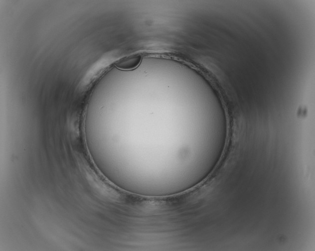 X0000111221451200907091300