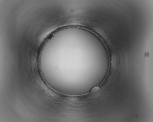 X0000111221452200907091300