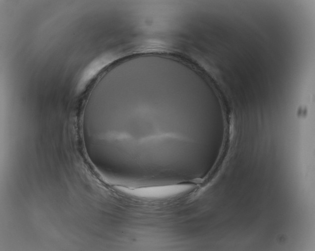 X0000111221453200907091300