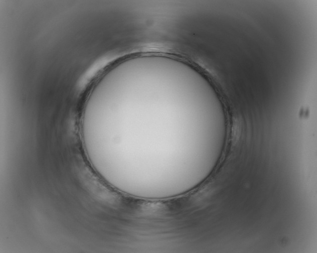 X0000111221454200907091300