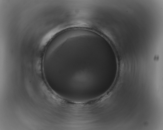 X0000111221455200907091300