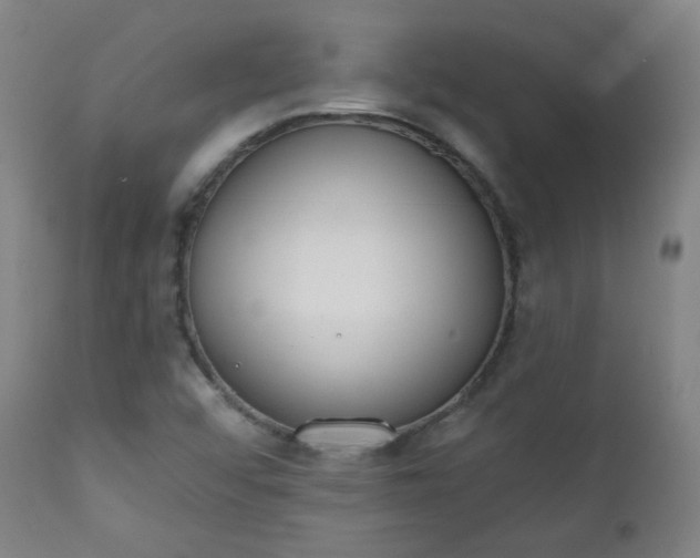 X0000111221456200907091300