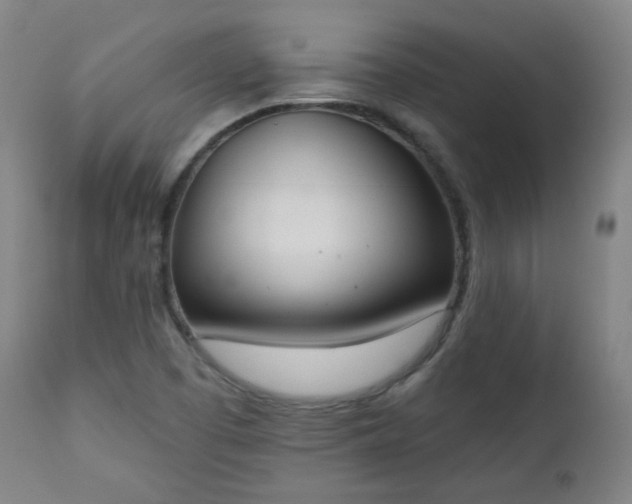 X0000111221457200907091300