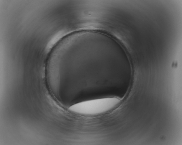 X0000111221459200907091300