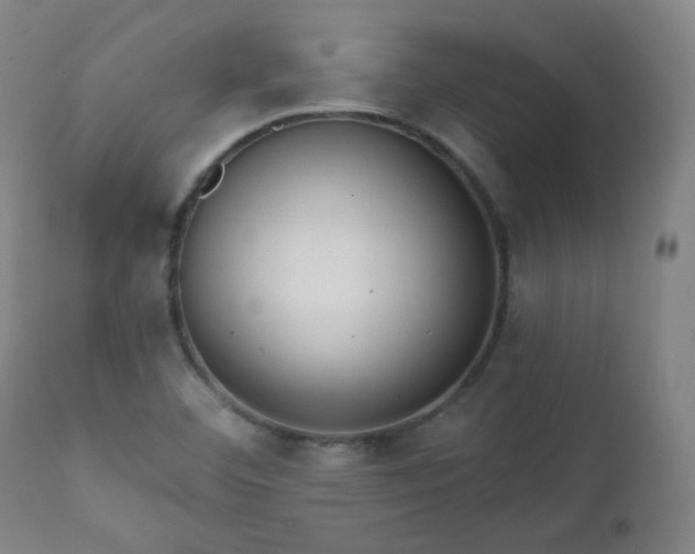 X0000111221460200907091300
