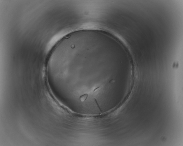 X0000111221461200907091300