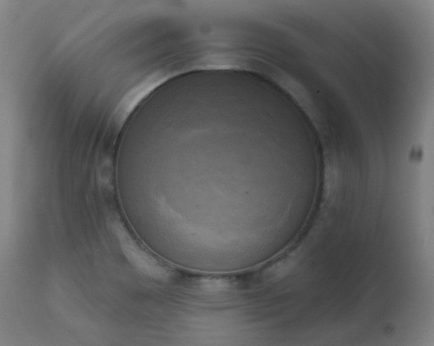 X0000111221465200907091300