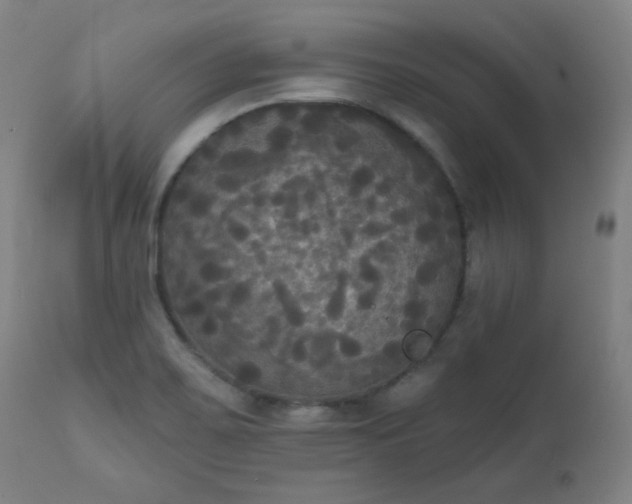 X0000111221467200907091300