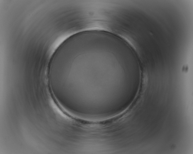 X0000111221468200907091300