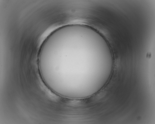 X0000111221470200907091300