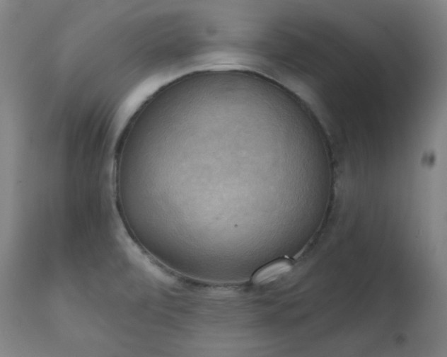 X0000111221472200907091300