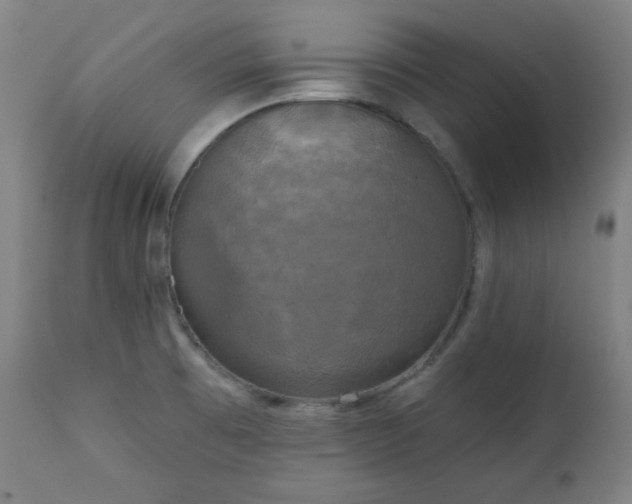 X0000111221473200907091300