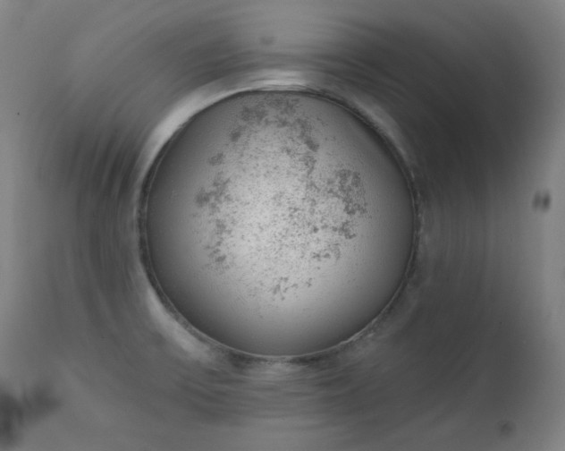 X0000111221475200907091300