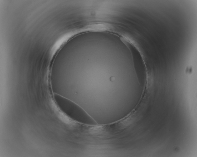 X0000111221477200907091300