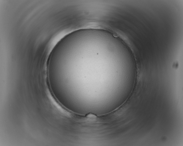 X0000111221479200907091300