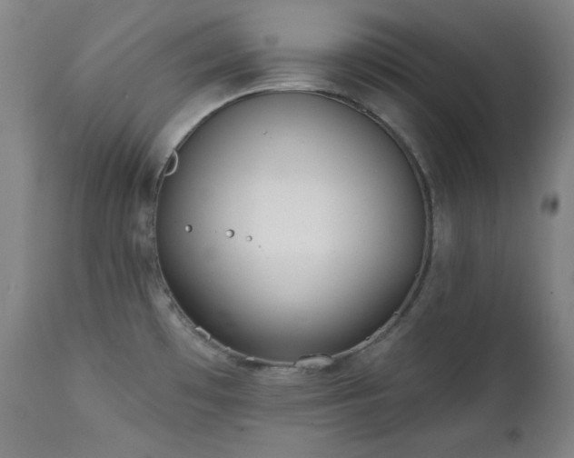 X0000111221481200907091300