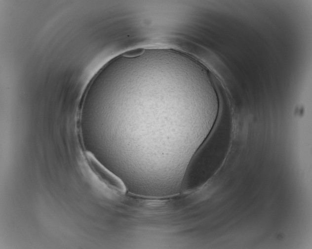 X0000111221484200907091300