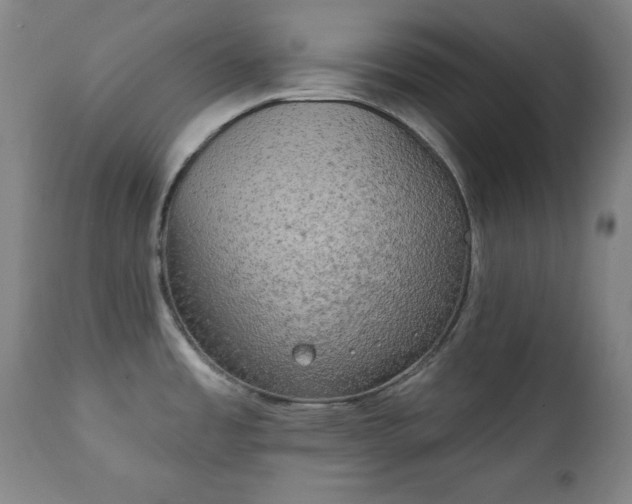 X0000111221485200907091300