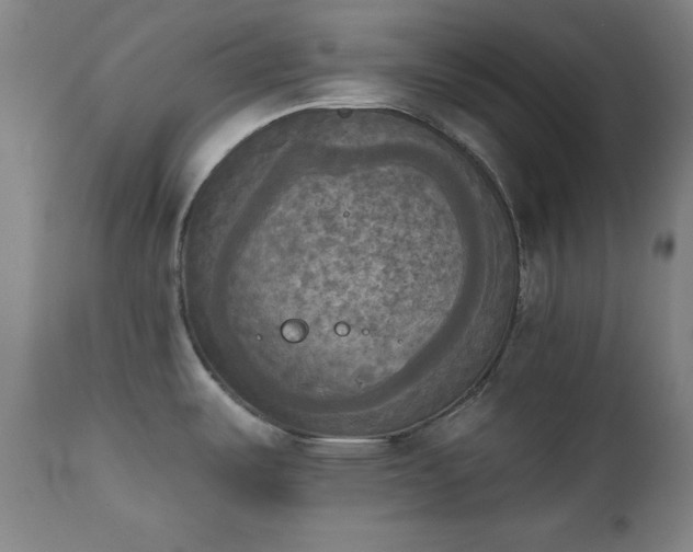X0000111221487200907091300
