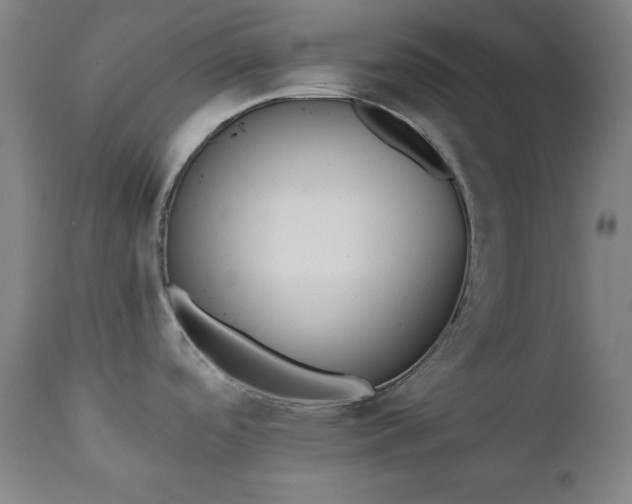 X0000111221488200907091300