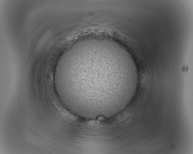 X0000111221489200907091259