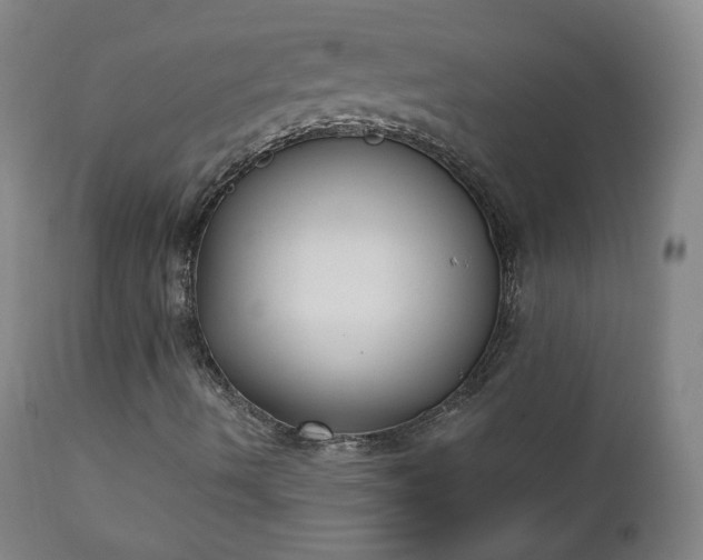X0000111221490200907091259