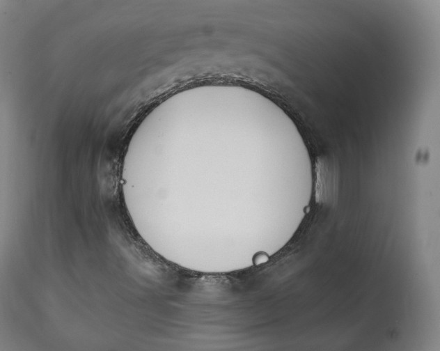 X0000111221491200907091259