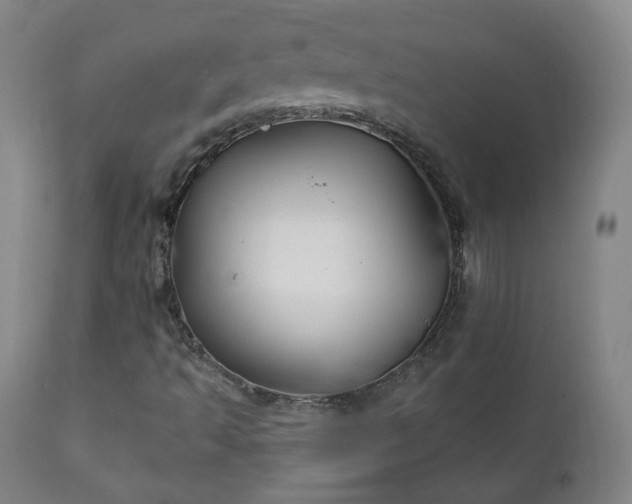 X0000111221493200907091259