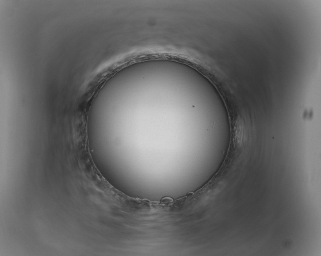 X0000111221494200907091259
