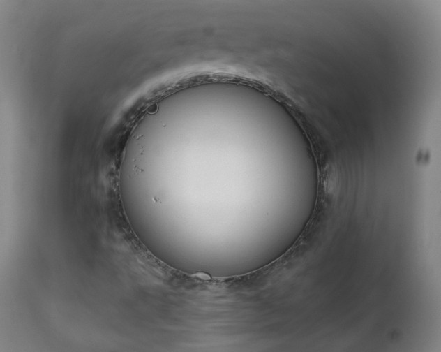 X0000111221495200907091259