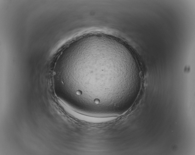 X0000111221496200907091259