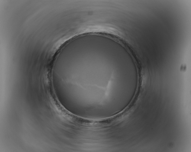 X0000111221497200907091259