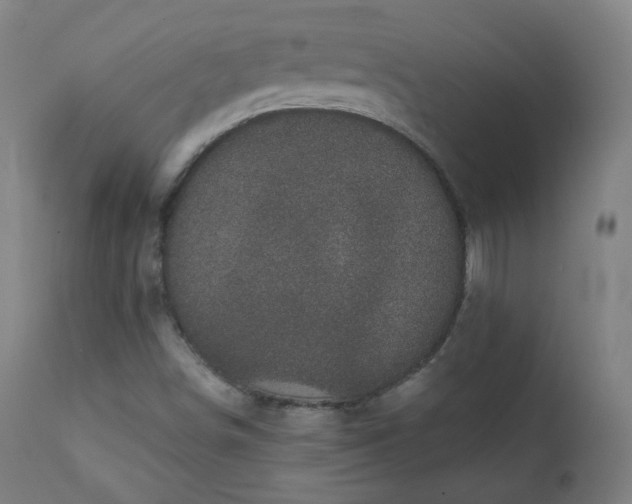 X0000111221498200907091259