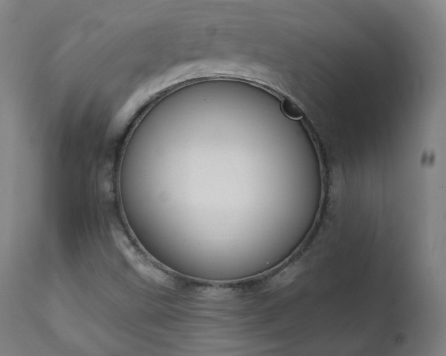 X0000111221499200907091259