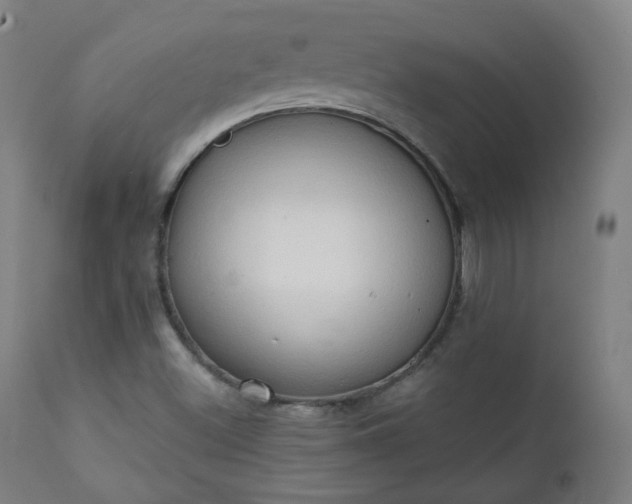 X0000111221500200907091259
