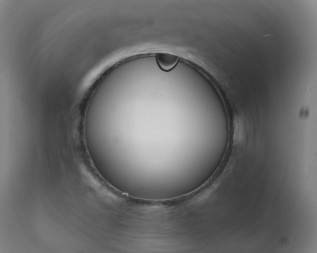 X0000111221502200907091259