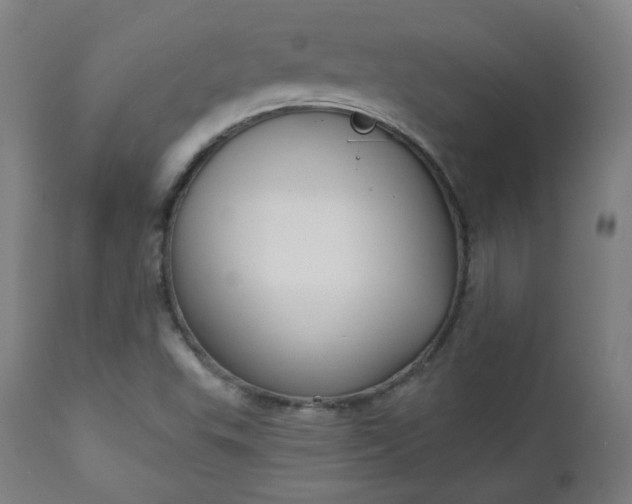 X0000111221503200907091259