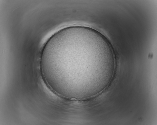 X0000111221504200907091259