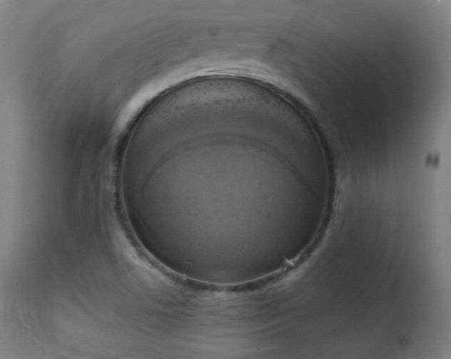 X0000111221506200907091259
