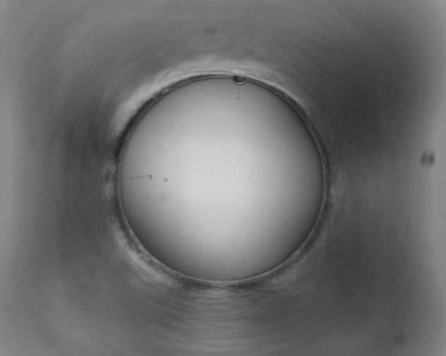 X0000111221507200907091259