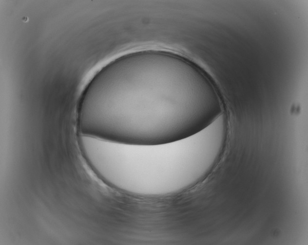 X0000111221508200907091259