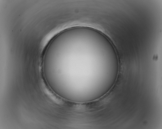 X0000111221511200907091259