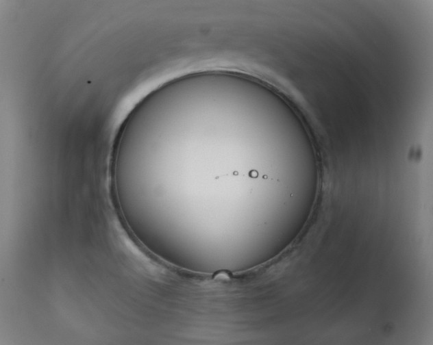 X0000111221512200907091259