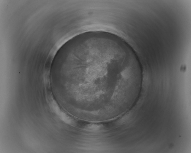 X0000111221513200907091259