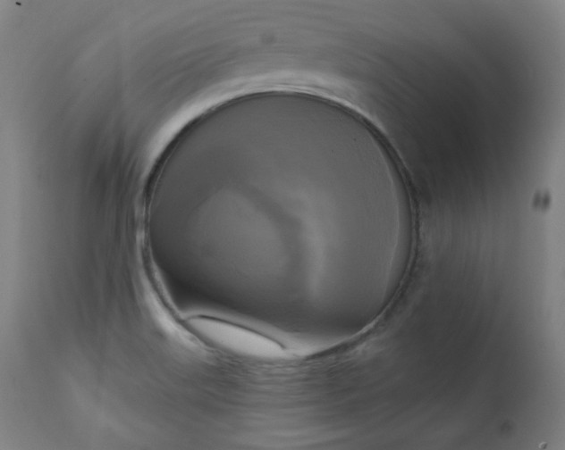 X0000111221515200907091259