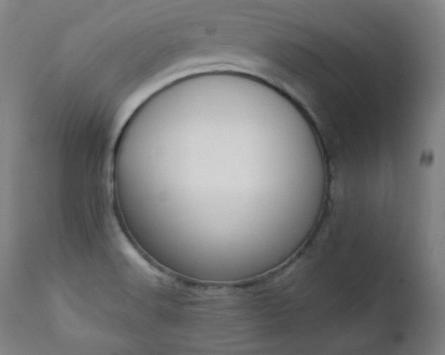 X0000111221516200907091259